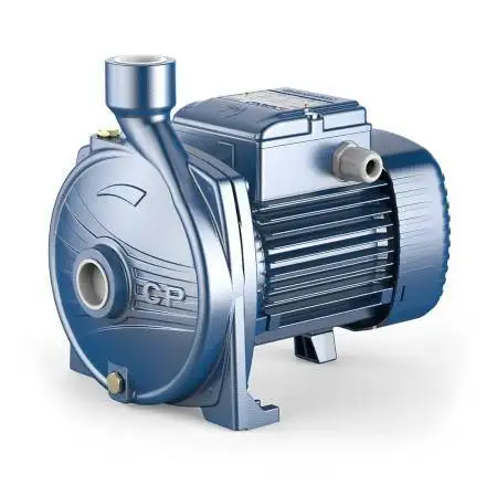 CPm 170 - Pompe centrifuge électrique monophasée de 1,5 CV Pedrollo - 1