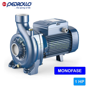 NGAm 1A - 1 HP single-phase open impeller centrifugal electric pump