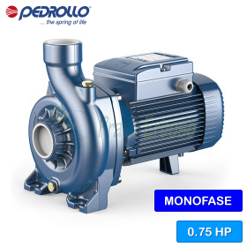 NGAm 2B - Pompă electrică centrifugă monofazată cu rotor deschis de 0,75 CP Pedrollo - 1