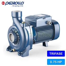 NGA 2B - Bomba eléctrica centrífuga trifásica de impulsor abierto de 0,75 HP Pedrollo - 1