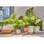 13400-20 - Start Set per terrazzo