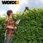 WG252E - Cortasetos telescópico a batería de 20 V