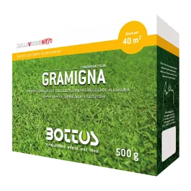 Quecke - 500g Rasensamen