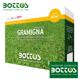 Couch Grass - 500g semințe de gazon