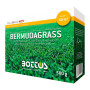 Bermudagrass - Sementi per prato da 500 g