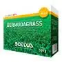 Bermudagrass - Sementi per prato da 500 g