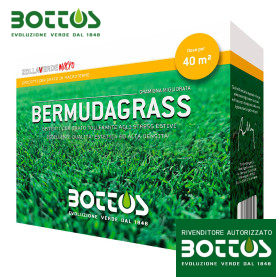 Graines de gazon Bermudagrass 500 g