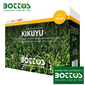 Kikuyu - 500 g de semillas de césped