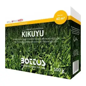 Kikuyu - 500g semințe de gazon
