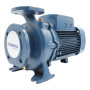 F 40/160A - 5.5 HP three-phase standard centrifugal electric pump