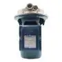 CP 170-ST4 - Elettropompa centrifuga in acciaio inox trifase da 1.5 HP Pedrollo - 2