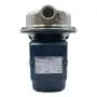 CP 100-ST4 - 0.33 HP Three-Phase Stainless Steel Centrifugal Electric Pump Pedrollo - 3