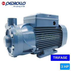 PQ 3000 - 3 PS Dreiphasen-Peripheralrad-Elektropumpe