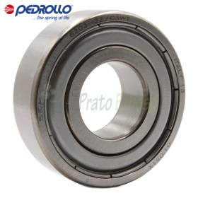 Cuscinetto 6203 ZZ-C3E 17x40x12 mm per pompe Pedrollo