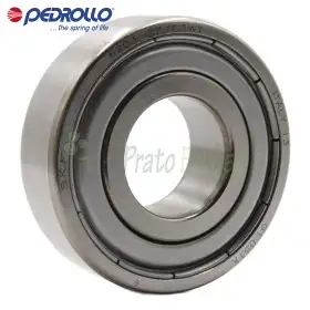 6203 ZZ-C3E - Kushineta topash 17x40x12 mm Pedrollo - 1