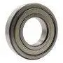 6208 ZZ-C3 - Cuscinetto a sfera 40x80x18 mm Pedrollo - 1