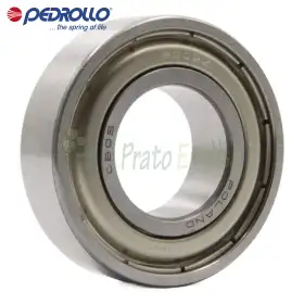 6003 ZZ-C3 - Kushineta topash 17x35x10 mm Pedrollo - 1