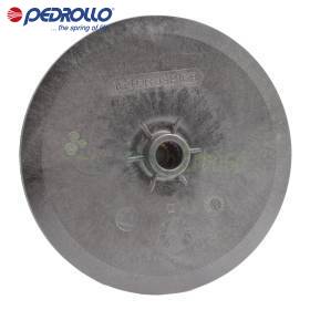 164GRJSP16B - Rotor centrifugal Pedrollo - 1