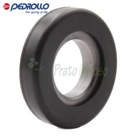 ST1-12 - vula mekanike 12 mm Pedrollo - 1