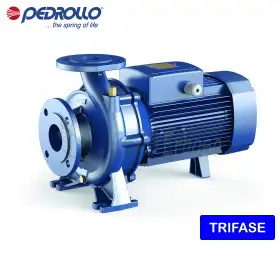 F 100/250B - Elettropompa centrifuga normalizzata trifase da 75 HP