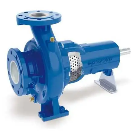 FG2-65/125C - Pompe centrifuge standardisée avec support Pedrollo - 1