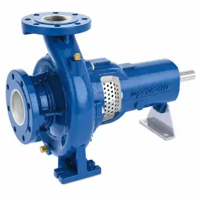 Pompa centrifuga FG2-100/160C Pedrollo – portata fino 300 l/min Pompa centrifuga FG2-100/160C Pedrollo – portata fino 300 l/min