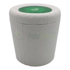 Bios Pets Ponderosa Pine biodegradable plantable pet urn