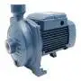 Pompe centrifuge électrique monophasée CPm 100 - 0,33 CV