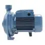 CPm 100 - 0.33 HP single-phase centrifugal electric pump Pedrollo - 5