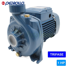 NGA 1A - Electrobomba centrífuga trifásica de 1 HP con rodete abierto Pedrollo - 1 NGA 1A - Electrobomba centrífuga trifásica de 1 HP con rodete abierto Pedrollo - 1