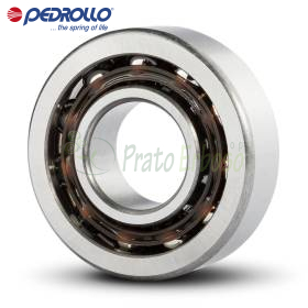 Roulement à billes 7203 B 17x40x12 mm pour Pedrollo