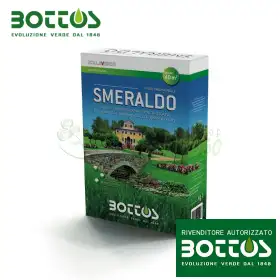 Smerald - 1 kg farë lëndinë