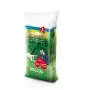 Forteprato – 1 kg Rasensamen Bottos - 2