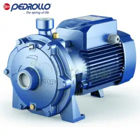 2CP 25/130 - Elettropompa centrifuga bigirante trifase da 1 HP Pedrollo - 1