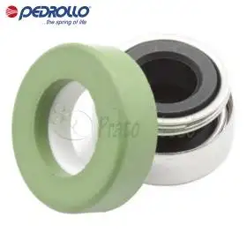 AR-12 V - 12 mm Gleitringdichtung Pedrollo - 1