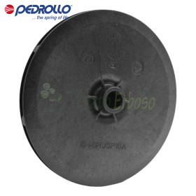 164GRJSP10A - Rotor centrifugal Pedrollo - 1