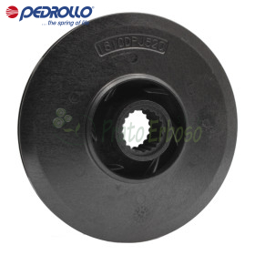 161GRPJ520 - Turbine centrifuge - Pedrollo