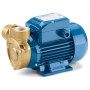 PQ 80-Bs - Elettropompa con girante periferica trifase da 1 HP