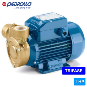 PQm 81-Bs - Electrobomba con impulsor periférico monofásico de 0,75 CV