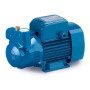 CKR 100 - Elettropompa autoadescante ad anello liquido trifase da 1 HP