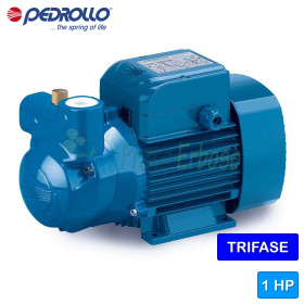CKRm 90 - 1 HP single-phase self-priming liquid ring electric pump Pedrollo - 1