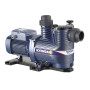 MAGNIFICA 1R - 0,60 PS dreiphasige elektrische Poolpumpe