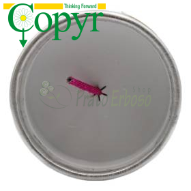 Insecticida para humo Copyr - 60 g