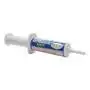 Strong Ant Gel 25g syringe for indoor and outdoor ant control