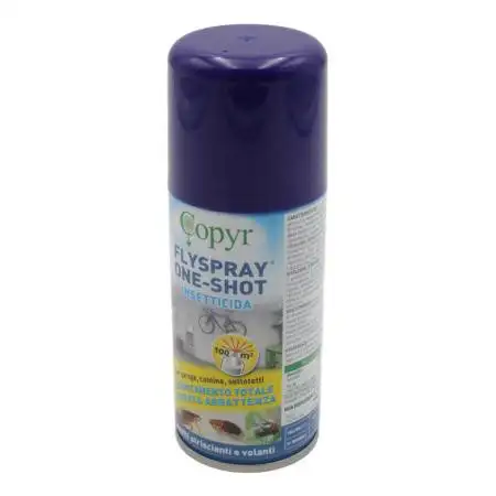 Fly Spray One Shot 150 ml - insetticida aerosol per interni