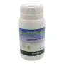 Water Plus - 250 g Tensioactivo y agente humectante para césped - Bottos
