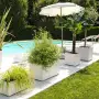 Vază Millennium R Trough - sicriu perlat de 59 cm - Deroma