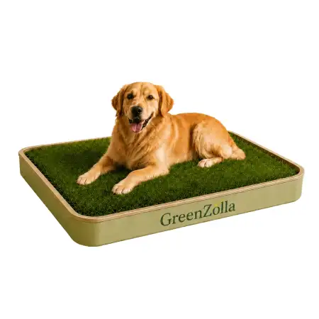 GreenZolla - Lettiera ecologica di prato vero Prato Erboso - 1