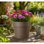 Save pot - Vaso tondo da 20 cm camel