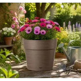 Maceta Save Pot - Maceta redonda de 20 cm con forma de camello - Deroma